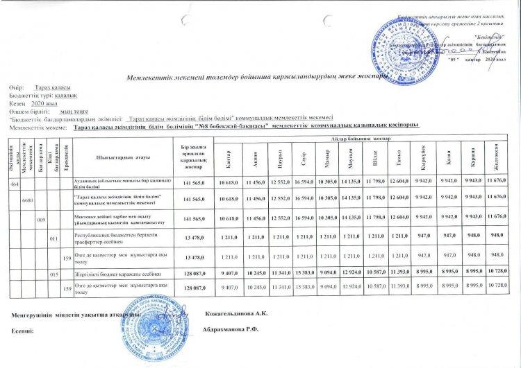 Төлемдер бойынша қаржыландырудың жеке жоспары 2020